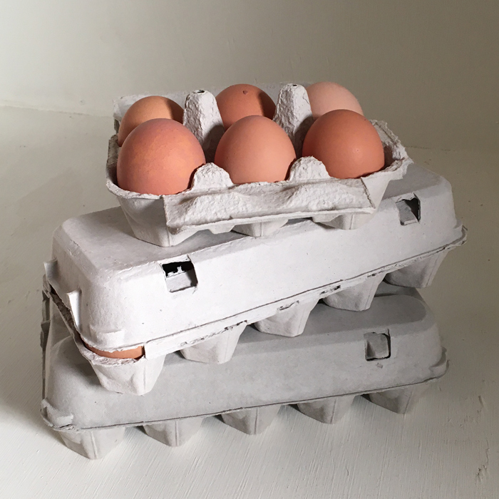 Æggebakke til 30 æg 1 bakke - Find alt til opstart høns haven