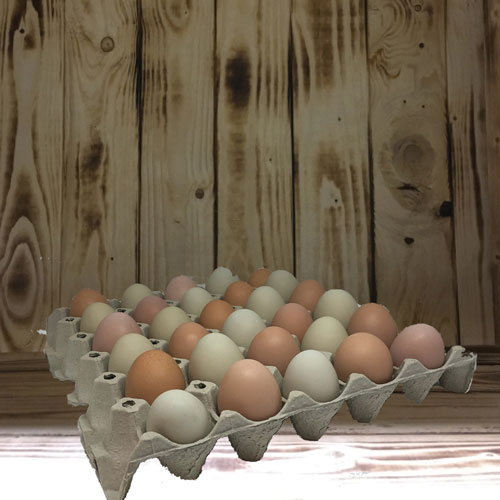 Æggebakker til 30 æg