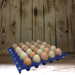Æggebakke i plastik til 30 æg