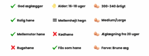 Bangs Friland I Høns, kyllinger & fjerkræ I Tilbehør & udstyr I Foder I Alt til vildtfugle I Få ekspertrådgivning og viden om dit hønsehold