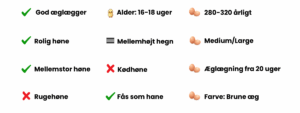 Bangs Friland I Høns, kyllinger & fjerkræ I Tilbehør & udstyr I Foder I Alt til vildtfugle I Få ekspertrådgivning og viden om dit hønsehold